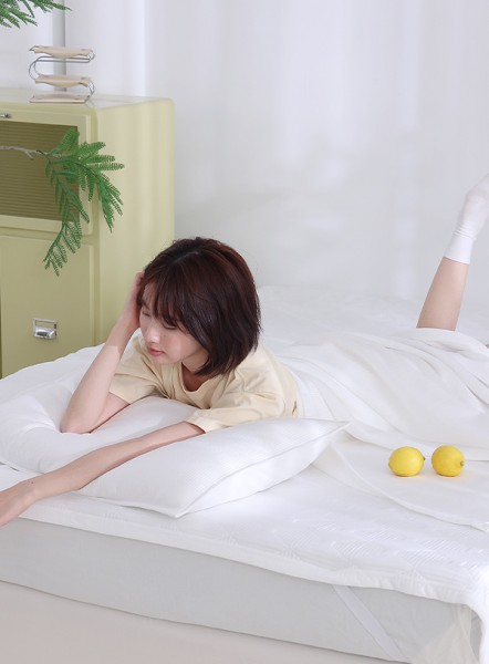 ��ǰ ������