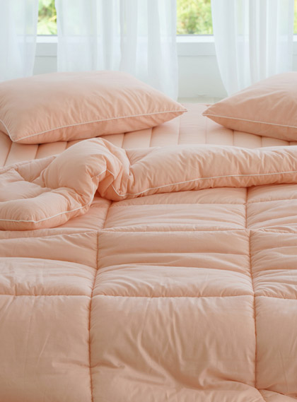 ��ǰ ������