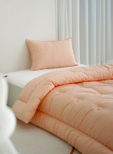 ��ǰ ������