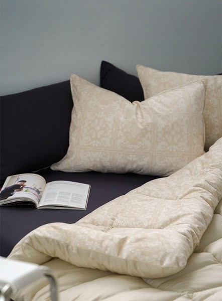 ��ǰ ������