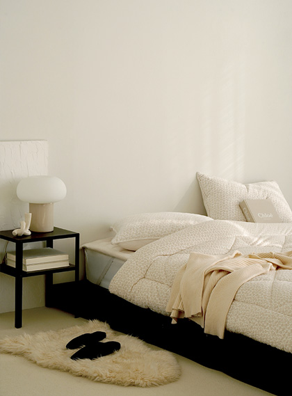 ��ǰ ������